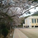 영도여자고등학교 이미지