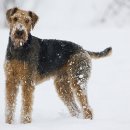 우성동물병원 이미지