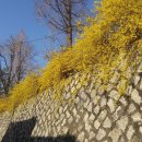 개나리공원 앞 이미지