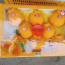 시은이네 농장 이미지