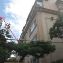 리치팰리스 이미지