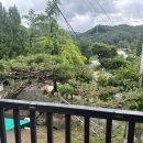 머물다삼포 이미지