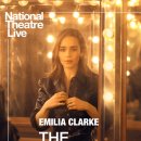 동갈매기 이미지