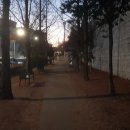 뇌와 몸을 깨우는 뇌체조(오전) | 일요일 아침, 8,000보의 행복 : 뇌와 몸을 깨우는 운동 루틴