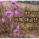 거제도 대금산 진달래 산행 이미지