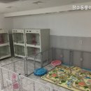 장수동물의료원 네이버블로그