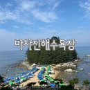 마차진해수욕장 | 마차진해수욕장ㅣ극성수기 주말 평상 이용 후기 및 스노클링 해루질 후기