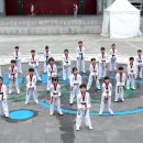 블랙벨트 태백 태권도장 이미지