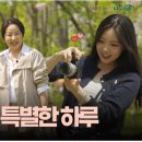 구립 느티나무어린이집