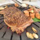 수원-0644 이미지