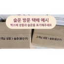 수선세탁 | 슬운 클리이밍 암벽화 세탁 및 수선 후기