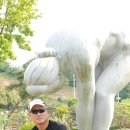 미림상사 Daum카페