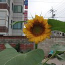 글로리 행정사 사무소 이미지