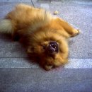 쌍용터널 앞 이미지