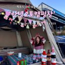 안녕오토캠핑장 | 탁트인 바다뷰를 볼 수 있는 안녕오토캠핑장 8번사이트 후기