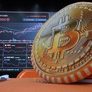 “지금 사라, 저축은 패배”…‘부자아빠’가 찍은 올해의 투자처 이미지