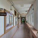 당림초등학교 이미지