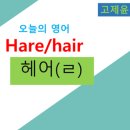 HARE HAIR