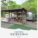 더 숲Ⅰ | 서울근교글램핑, 포천 캠프 오후 4시 카라반 에어스트림 반캉왓 32ft 후기 (4살 아기와 캠핑)