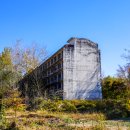 유성대로(유성-110) 이미지