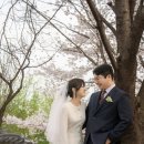 영화농장 | 수원 야외 웨딩촬영 후기｜월화원 봄 웨딩스냅 + 탑동시민농장 피크닉까지
