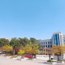 코케코코 | 고려대 맛집) 일본가정식 코케코코 후기