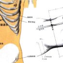 복통곡혈 KI20 통곡(通谷, 2개 혈) : 足少陰腎經與衝脈之會穴 이미지