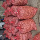 우째 지내냐구요 이미지