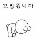 더화인약국 이미지