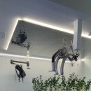 88 헤어샵 이미지