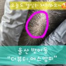 The Beauty #(더 뷰티 샵)
