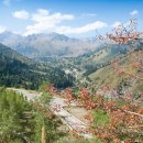 시민로457번길 이미지