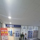 큰빛과외