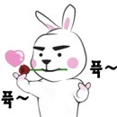두리닭발수원 이미지