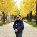 재미난 넌센스 퀴즈 이미지