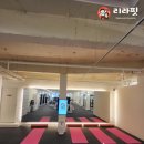 리라핏 거모점 이미지