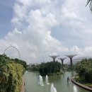 베이의원 이미지