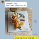 플로르케이크 네이버블로그
