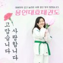 용인대은혜태권도