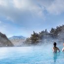 청송포레스트 이미지