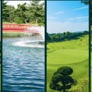 태광미디어