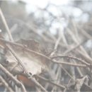 문경펜션 이미지