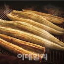 89장어