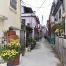 선창목포수산 이미지