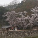 꽃바람목장 이미지