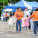 가라월라 이미지