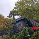 산이야기펜션 | 지리산 펜션 뱀사골계곡과 천년송이 있는 산이야기펜션에서 자연과 함께 힐링하고 왔어요