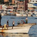 주문진항 이미지