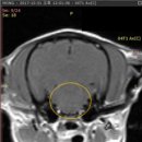 대경연합동물영상센터 이미지