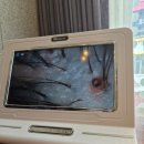 노원역 미용실 추천, 준오헤어 노원문화의거리점 단우디자이너에게 받은 맞춤형 두피 클리닉 솔직 후기!